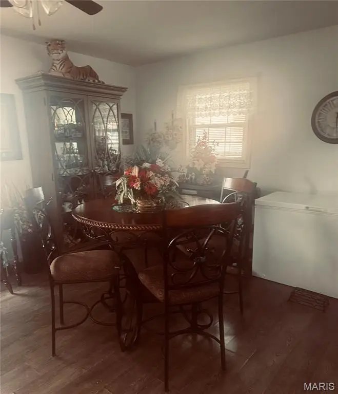 402 Damon Street, Dexter, MO 63841 - #3