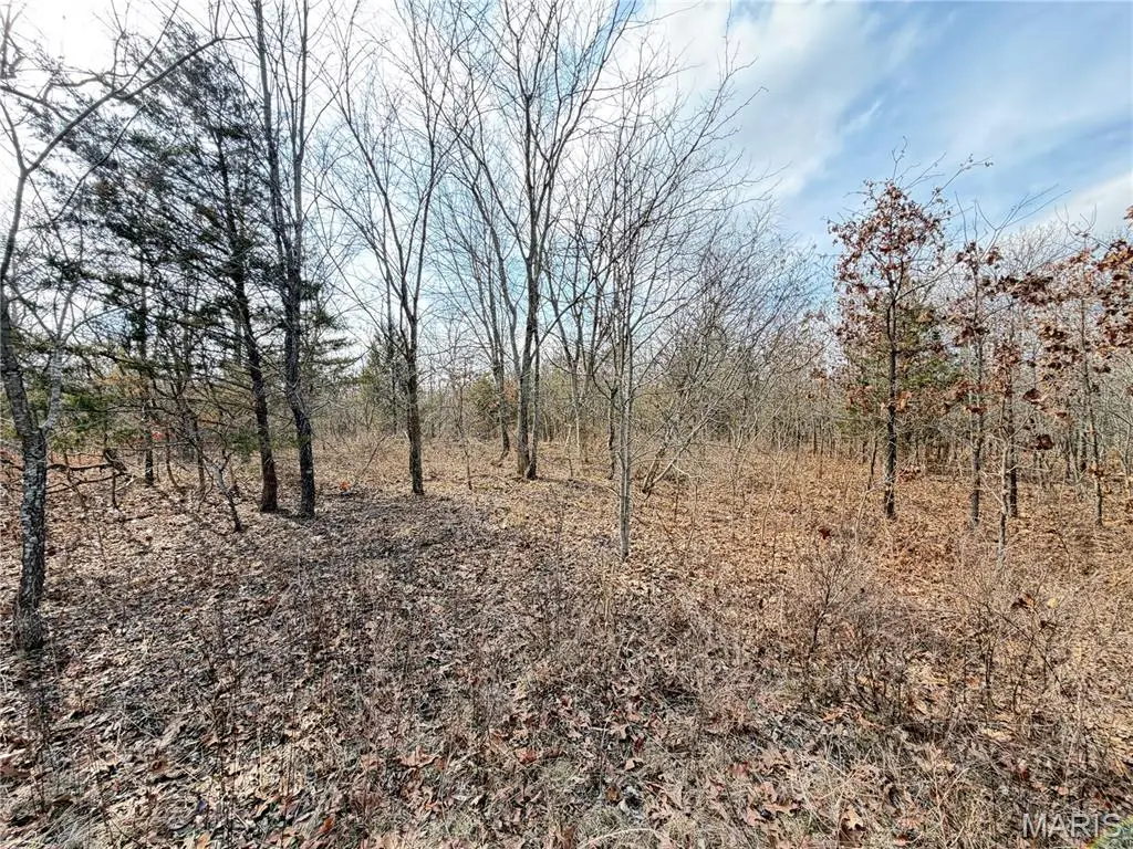 TBD Dogwood Lane, Saint James, MO 65559 - #1