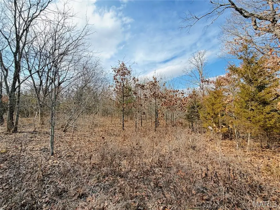 TBD Dogwood Lane, Saint James, MO 65559 - #3