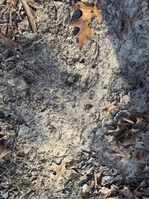 111 Highway Bb, Iberia, MO 65486 - #3