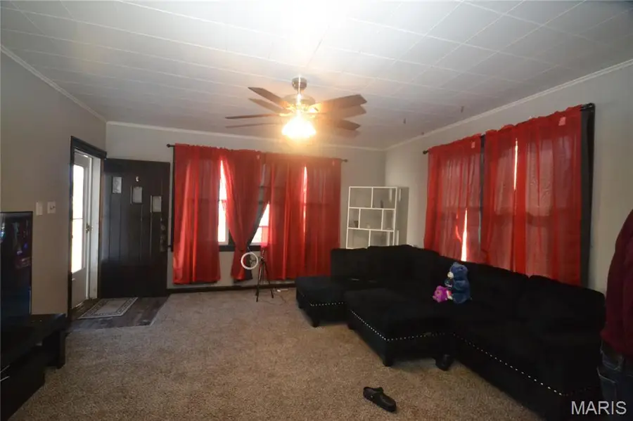 111-113 Kansas Avenue, Belleville, IL 62221 - #3