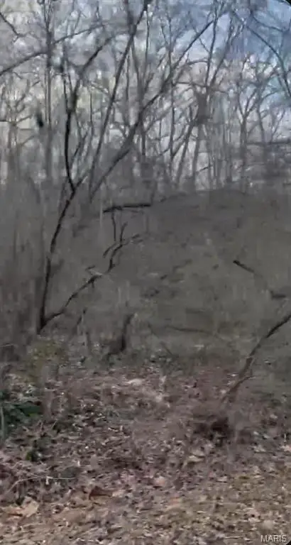 308 Pawnee, Irondale, MO 63648