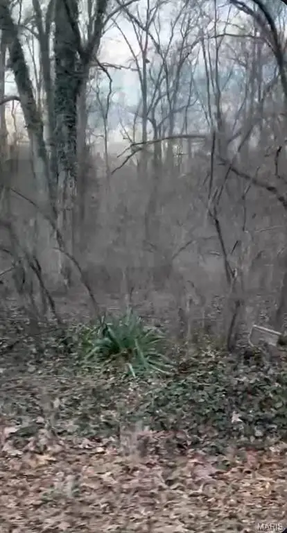 308 Pawnee, Irondale, MO 63648 - #2