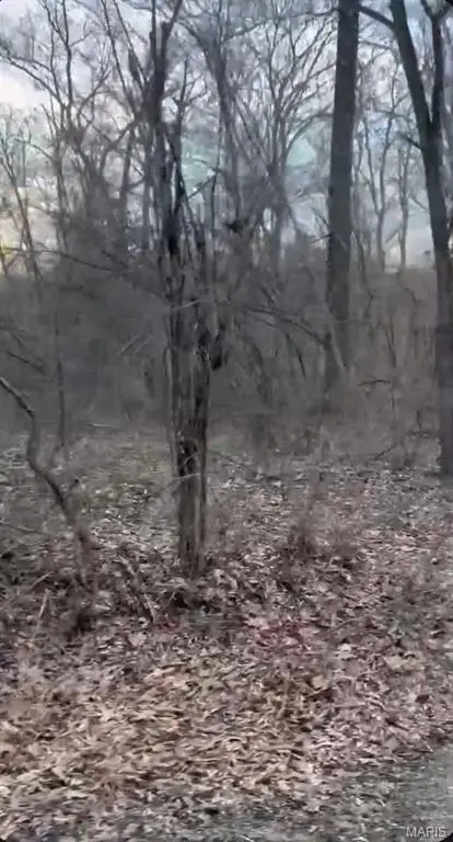 308 Pawnee, Irondale, MO 63648 - #3