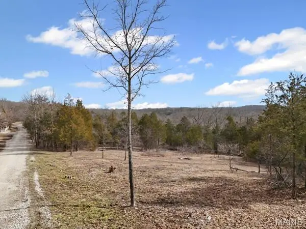 TBD Cedar Lane, Festus, MO 63028 - #3