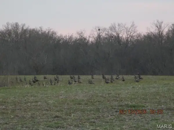 Lot #7 Pcr 910, Perryville, MO 63775