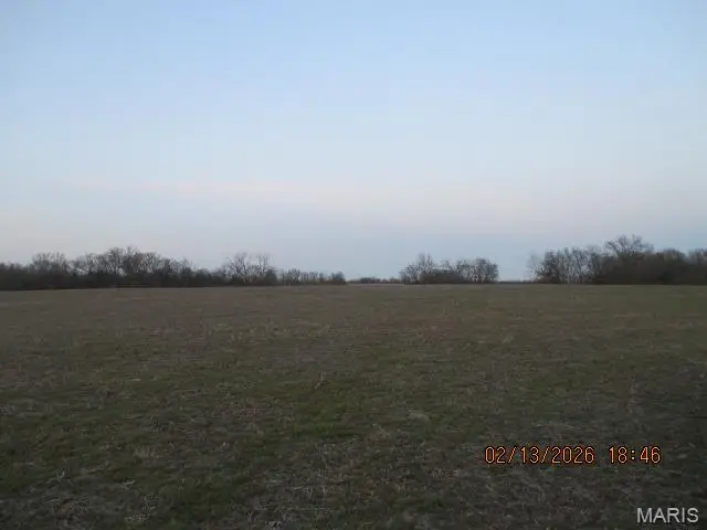 Lot #7 Pcr 910, Perryville, MO 63775 - #3