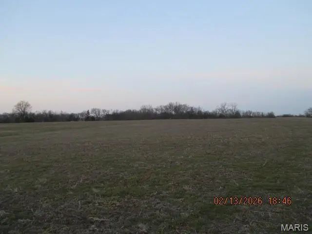 Lot #8 Pcr 910, Perryville, MO 63775 - #3