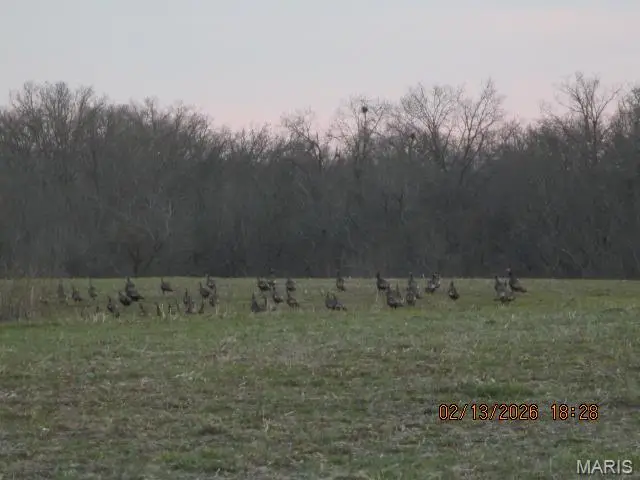 Lot #9 Pcr 910, Perryville, MO 63775 - #1