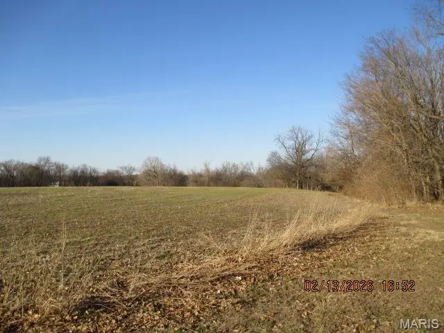 Lot #12 N Highway 61, Perryville, MO 63775 - #2
