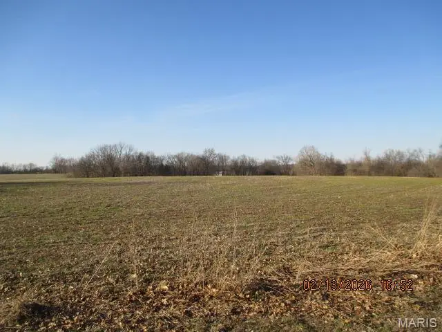 Lot #15 N Highway 61, Perryville, MO 63775 - #2