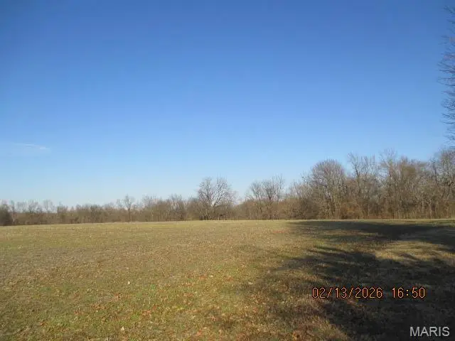 Lot #16 N Highway 61, Perryville, MO 63775 - #1