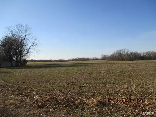 Lot #16 N Highway 61, Perryville, MO 63775 - #3