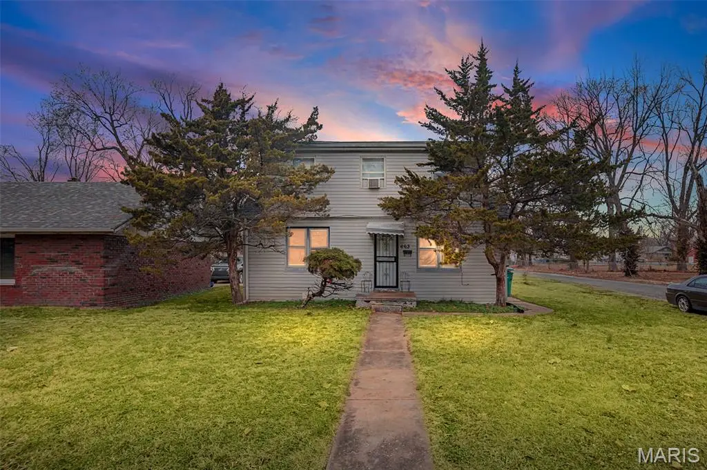 663 N 81st Street, East Saint Louis, IL 62203 - #1