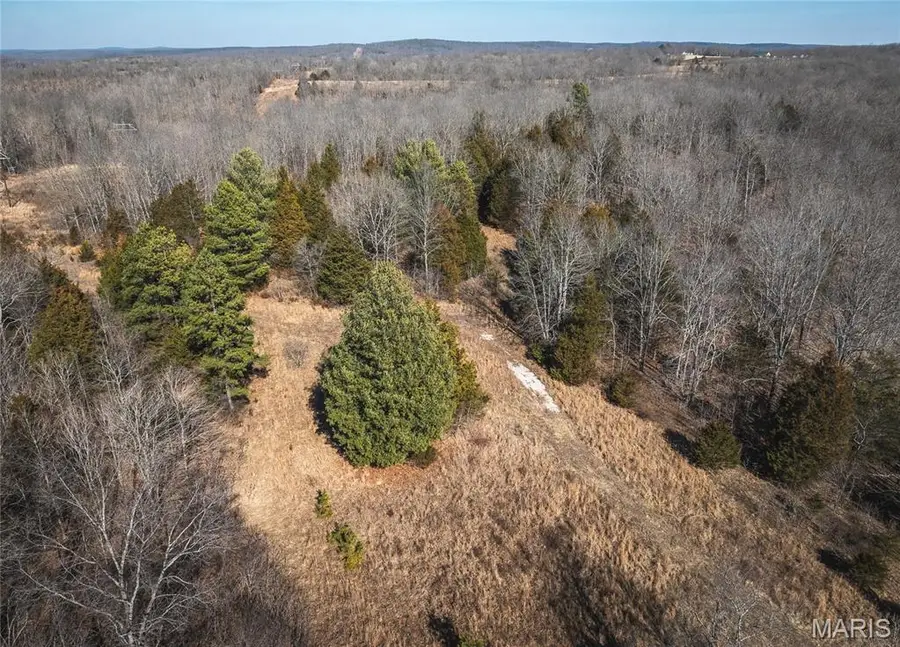 0 Highway C, Courtois, MO 65565 - #3