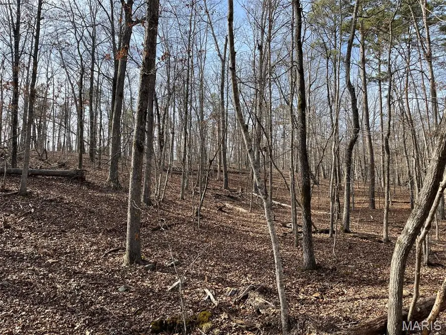 0 Wayne 349d, Piedmont, MO 63957 - #2