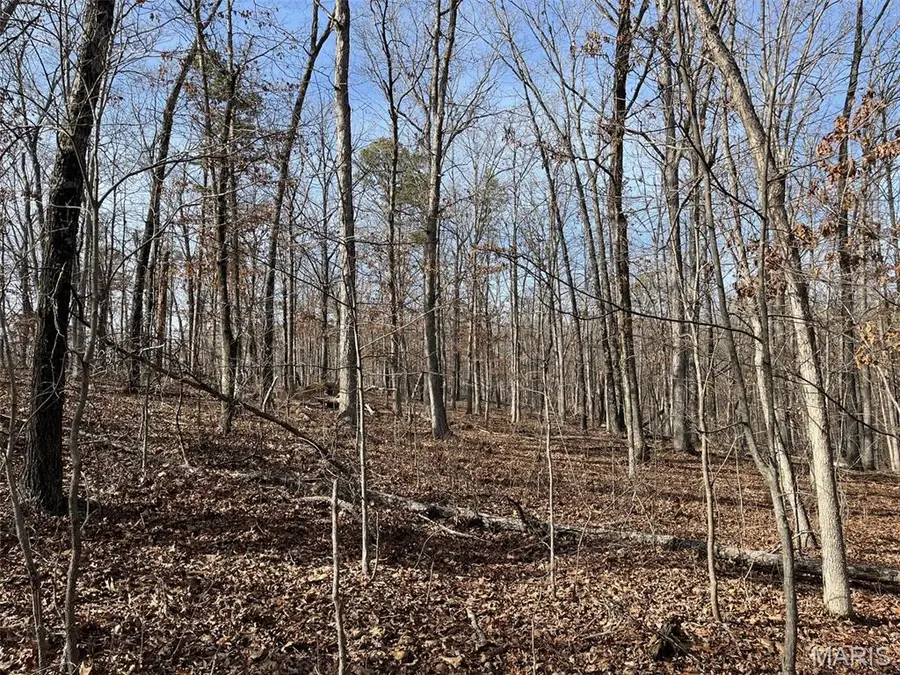 0 Wayne 349d, Piedmont, MO 63957 - #3