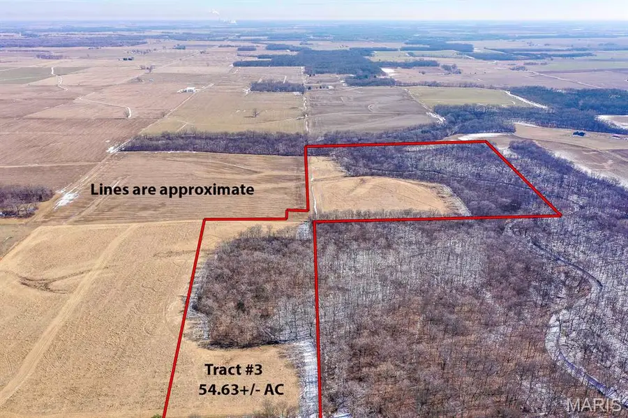 54.63+/- AC Sackwitz Road, New Athens, IL 62264 - #2