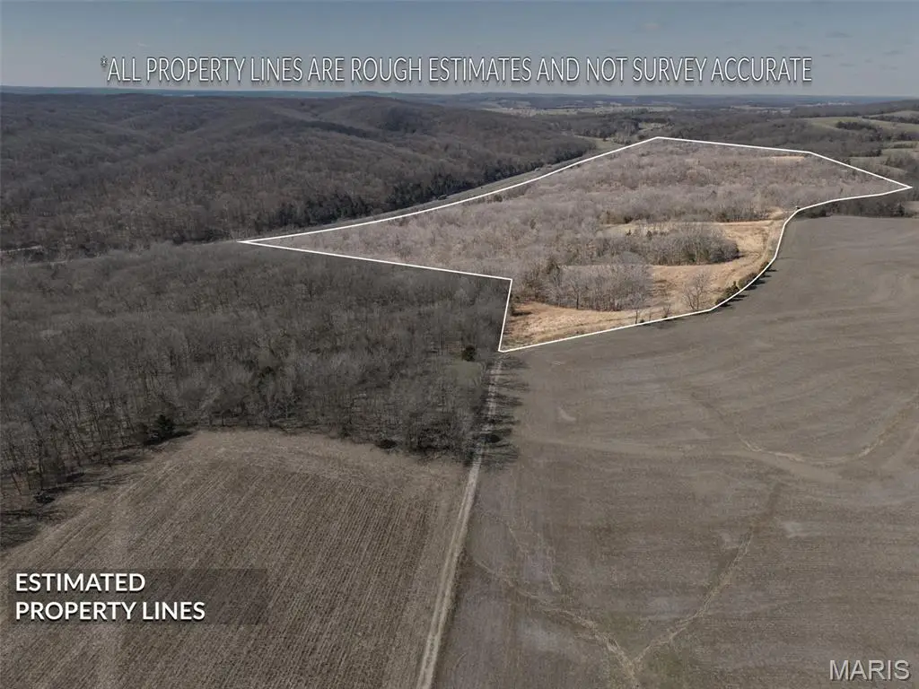 0 New Ortenau Road, Ste Genevieve, MO 63670 - #1