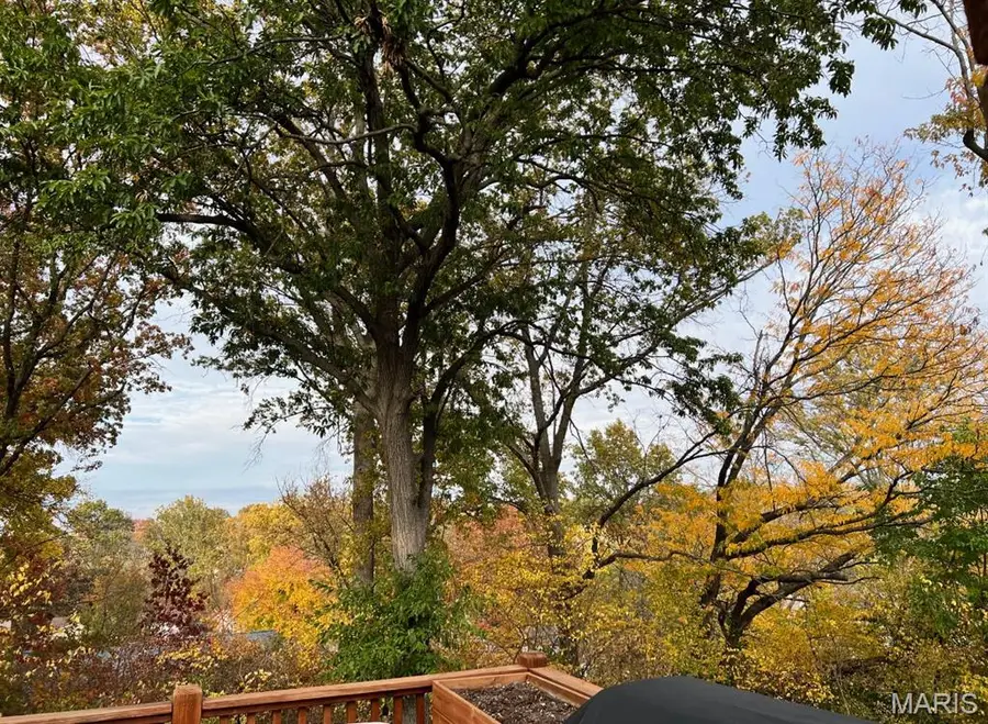 1430 Silverleaf Lane, Saint Louis, MO 63146 - #2