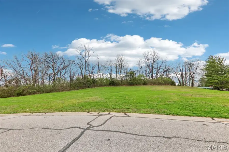 13004 Pingry Place, Saint Louis, MO 63131 - #3