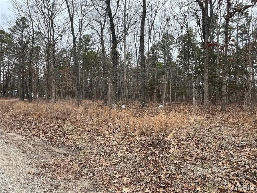 10246 Saw Mill Road, Potosi, MO 63664 - #3