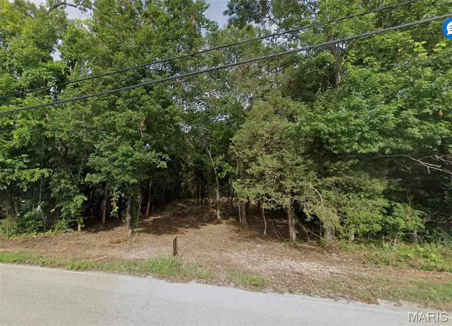 411 Iowa Colony Road, Hollister, MO 65672 - #2