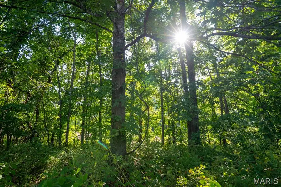 0 County Road 530 Tract 3, Williamsville, MO 63967 - #2