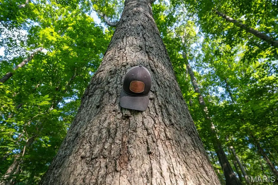 0 County Road 530 Tract 3, Williamsville, MO 63967 - #3