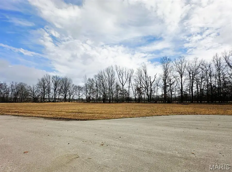 Lot 4 Regent Oak Drive, Dexter, MO 63841 - #3