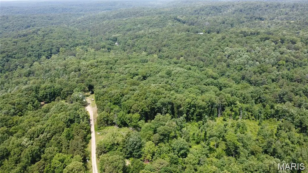 10282 Annette Avenue, Potosi, MO 63664 - #1