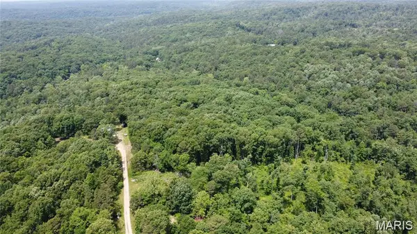 10282 Annette Avenue, Potosi, MO 63664