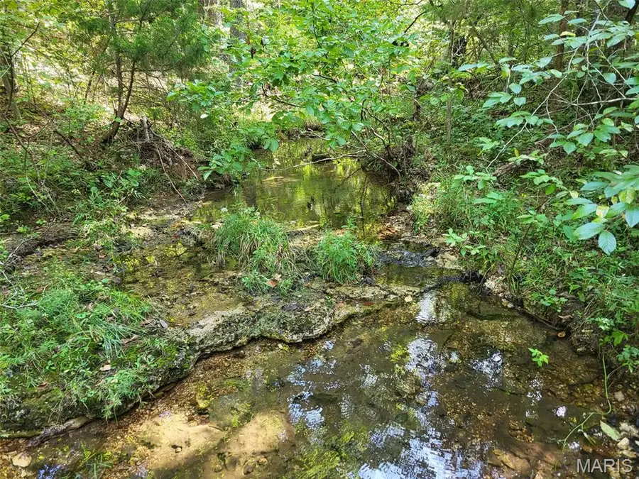 10282 Annette Avenue, Potosi, MO 63664 - #2