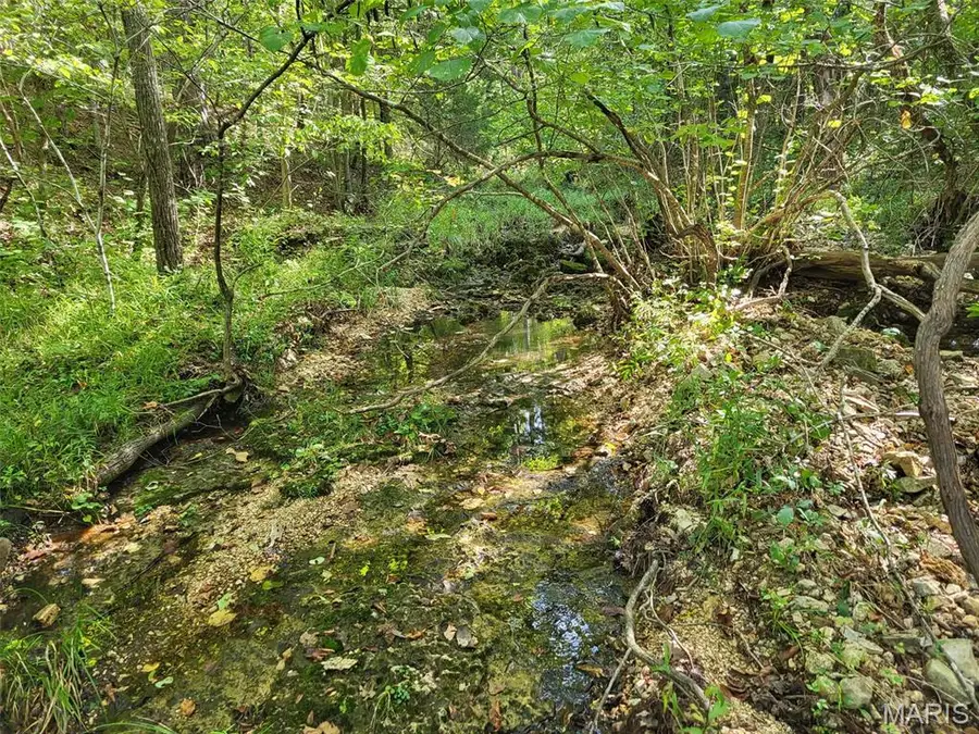 10282 Annette Avenue, Potosi, MO 63664 - #3