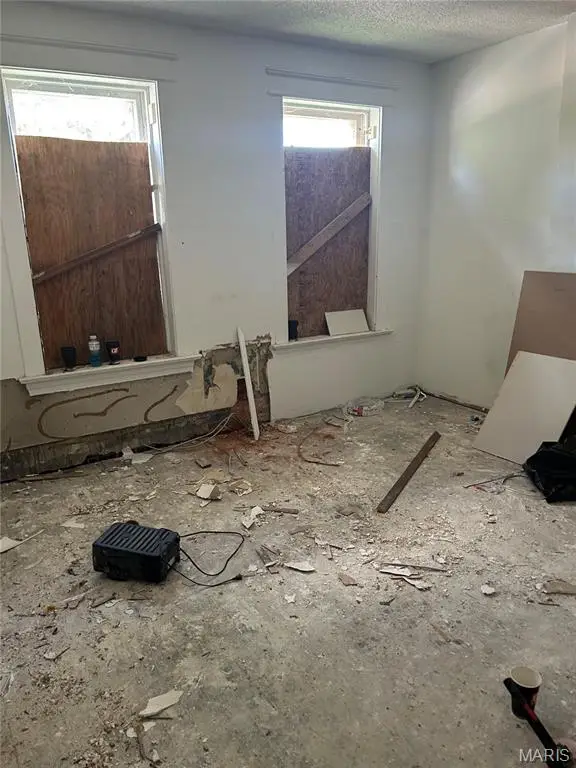 3715 Minnesota Avenue, Saint Louis, MO 63118 - #2