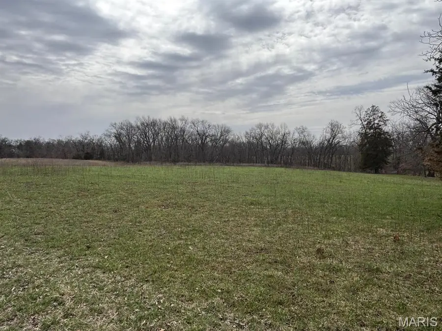 4 Berry Place, Monroe City, MO 63456 - #3