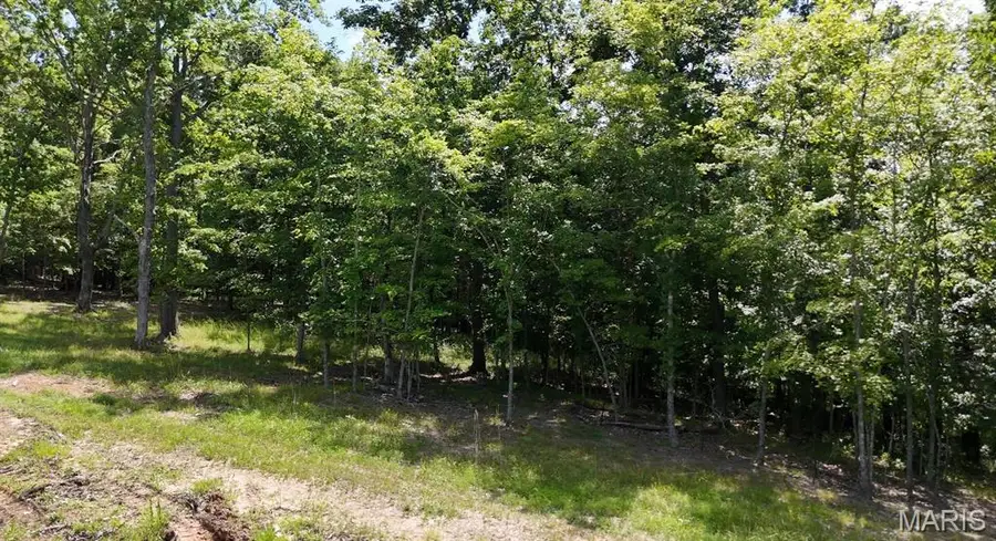 1956 Tanglefoot Farms Road, Festus, MO 63028 - #2