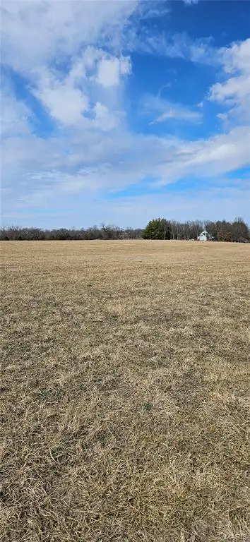 Lot 1 Carter Mette Rd At Carter Rd Road, Moscow Mills, MO 63362 - #2