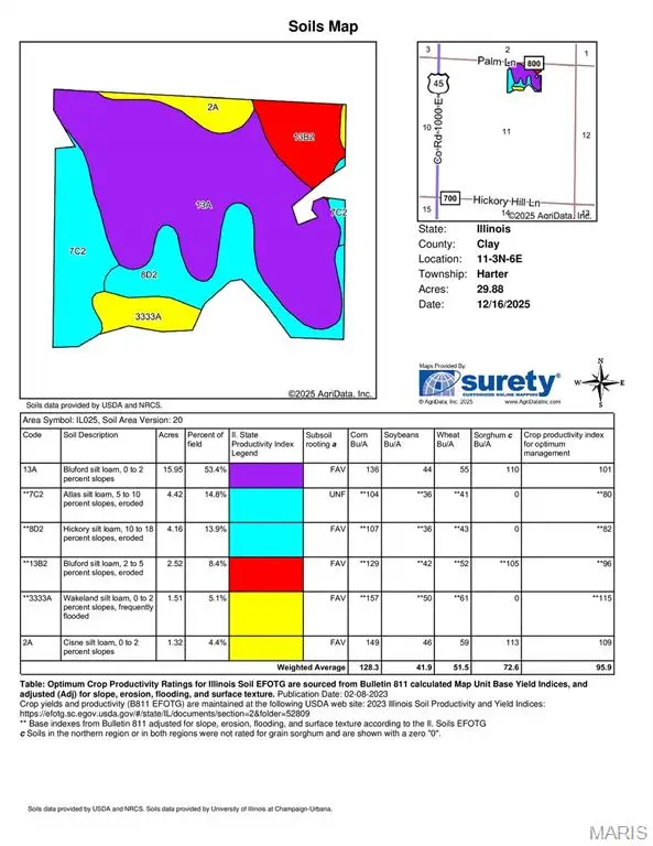 0000 Palm Lane, Flora, IL 62839 - #3