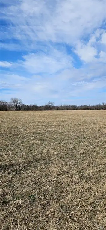 Lot 3 Carter Mette Rd At Carter Rd Road, Moscow Mills, MO 63362 - #1