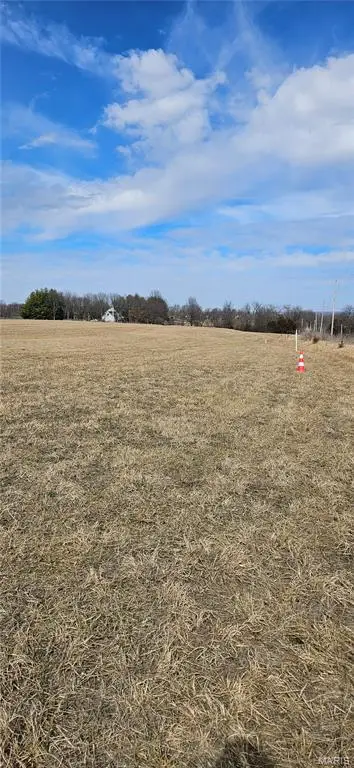 Lot 3 Carter Mette Rd At Carter Rd Road, Moscow Mills, MO 63362 - #3