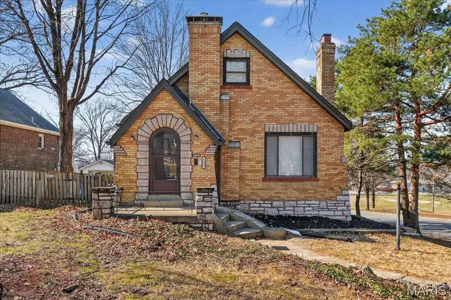 3903 Prather Avenue, Saint Louis, MO 63109 - #2