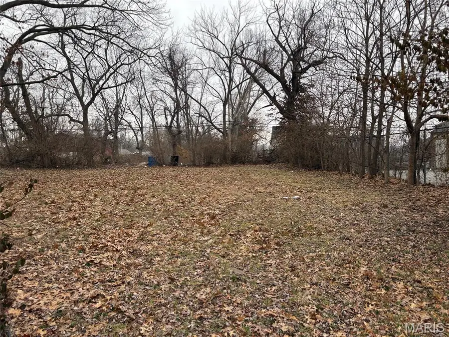 5065 Davison Avenue, Saint Louis, MO 63120 - #2