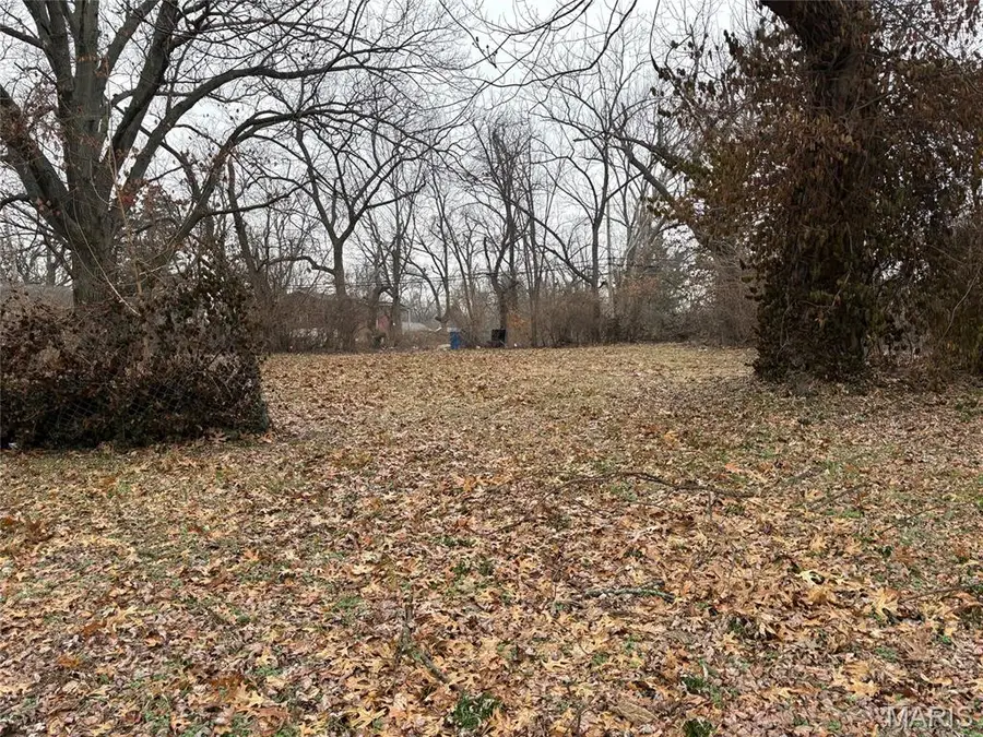 5065 Davison Avenue, Saint Louis, MO 63120 - #3