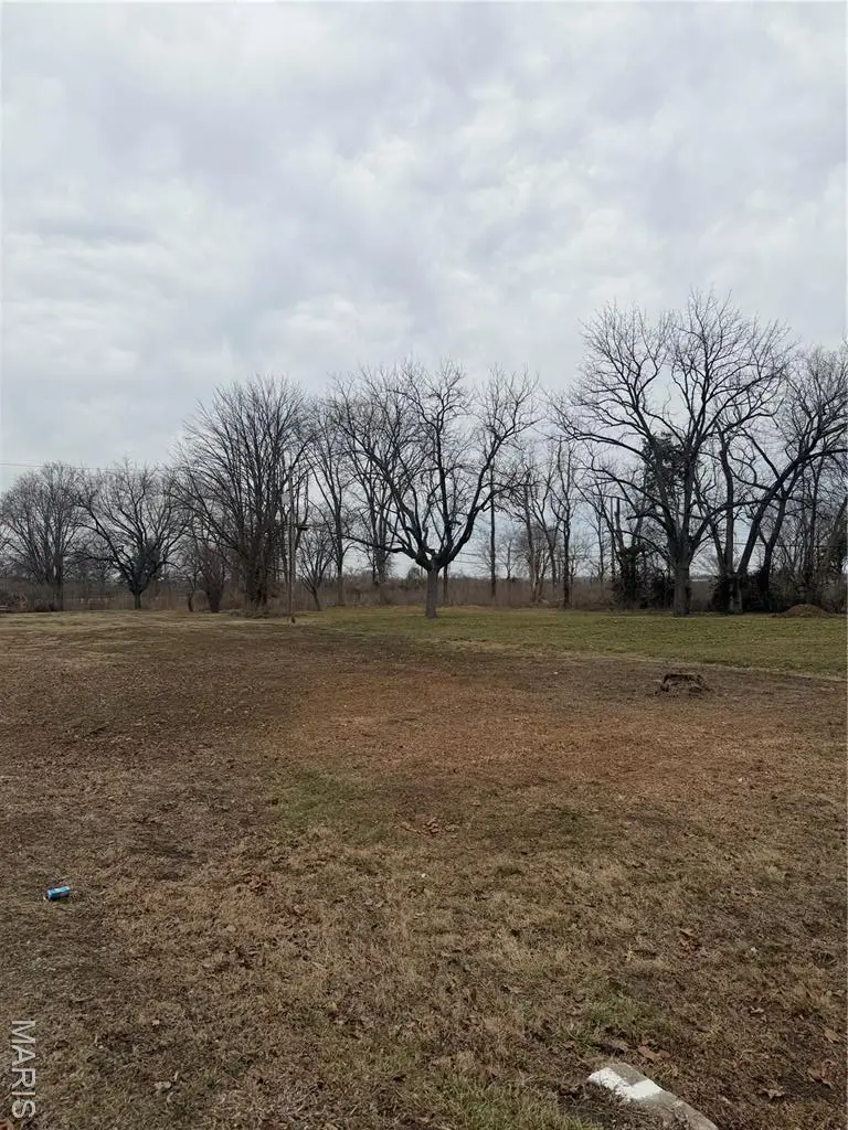 2109 S Main Street, Dupo, IL 62239 - #3