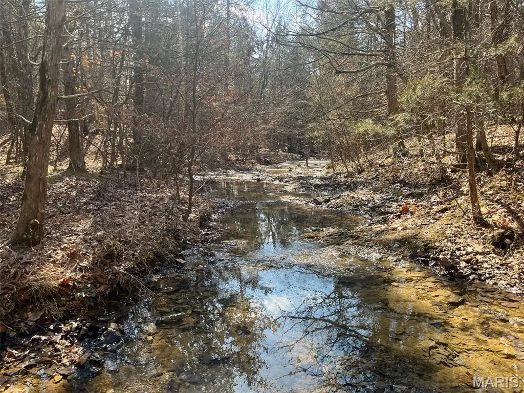 10272 Old Black River Road, Potosi, MO 63664 - #1