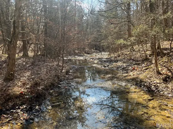 10272 Old Black River Road, Potosi, MO 63664