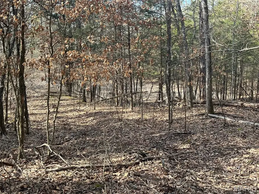 10272 Old Black River Road, Potosi, MO 63664 - #2