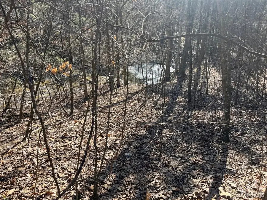 10272 Old Black River Road, Potosi, MO 63664 - #3