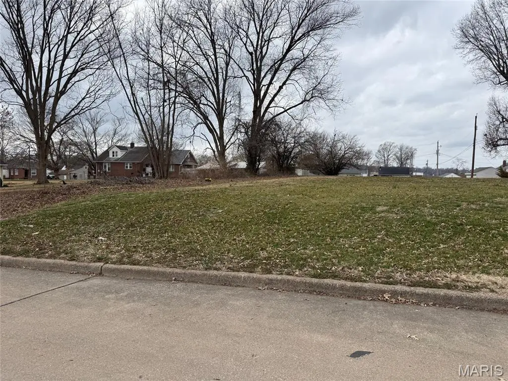 215 Louis Street, Cape Girardeau, MO 63703 - #1